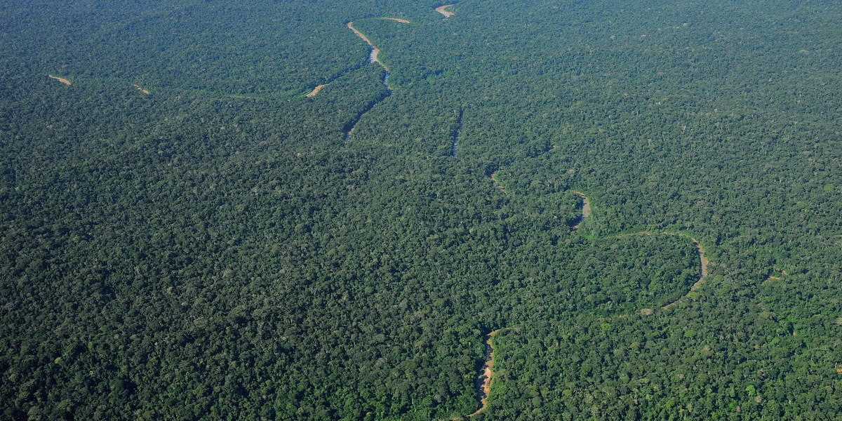 Amazone droneshot