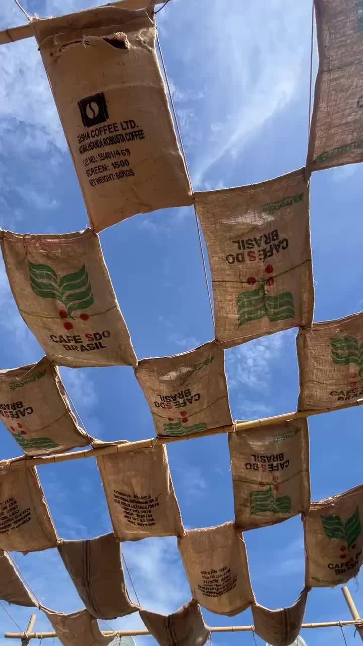 Boho Roof detail 1