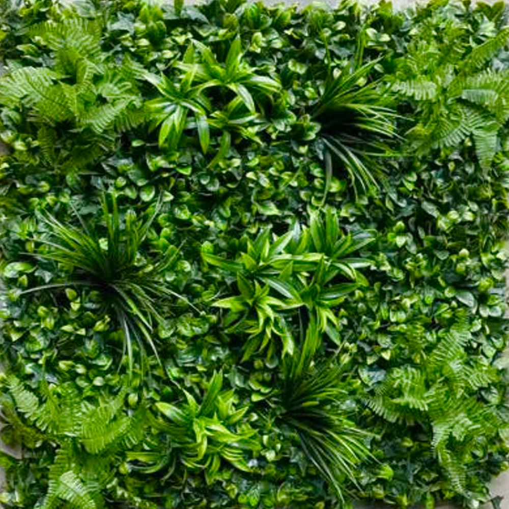Rainforest variant