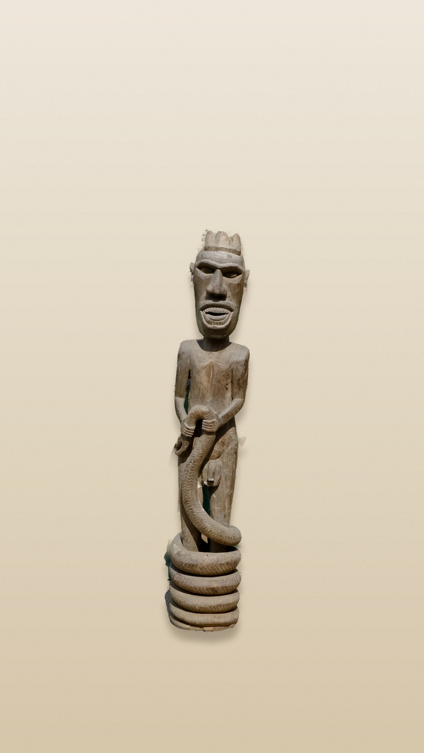 Boiúna
