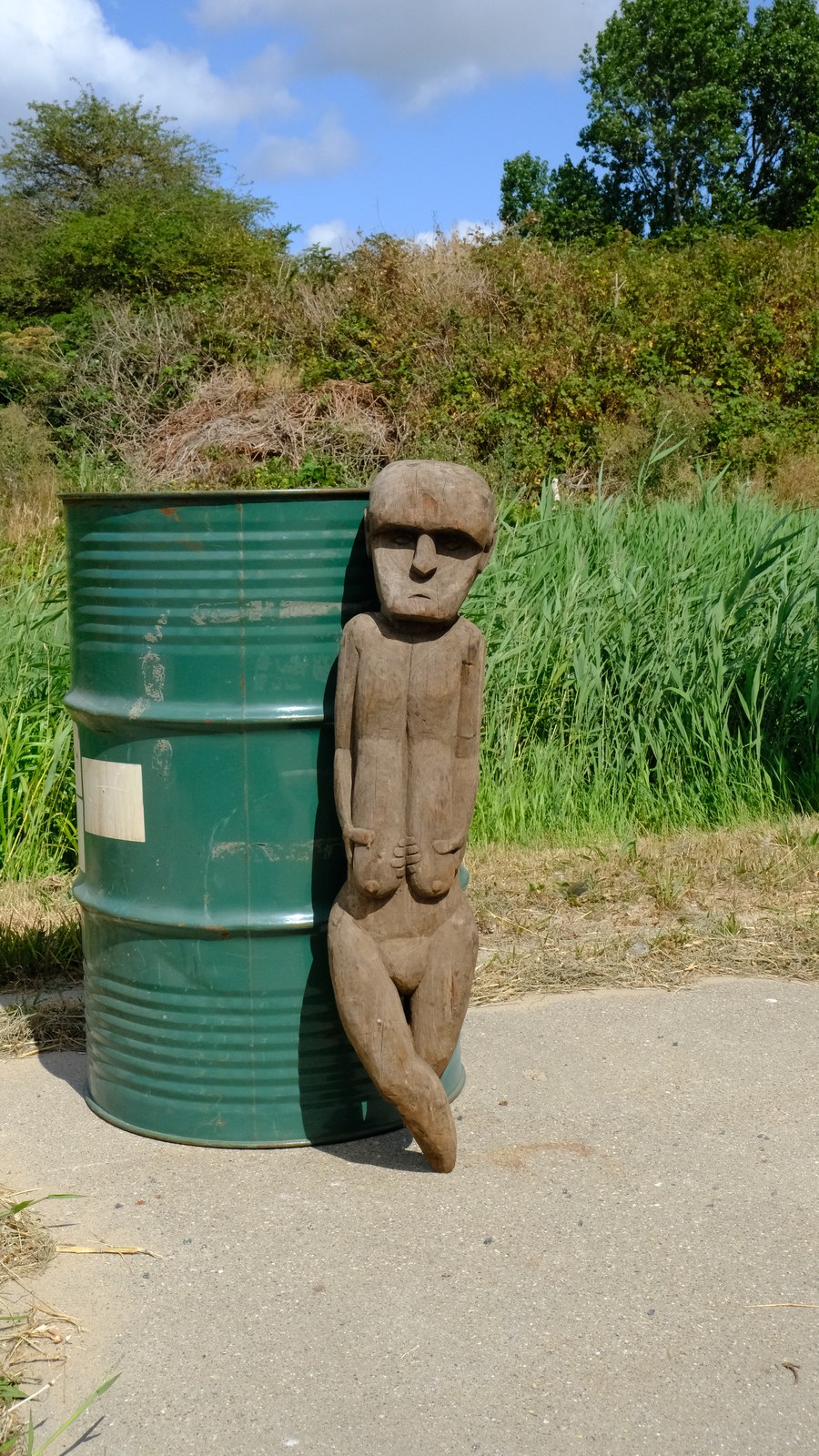 Onça